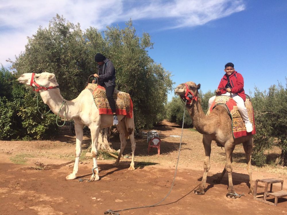 Morocco & Spain Tour - Halal Travels - Muslim Travelers - Ilimtour